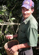 Rio Frio Coffee Picker